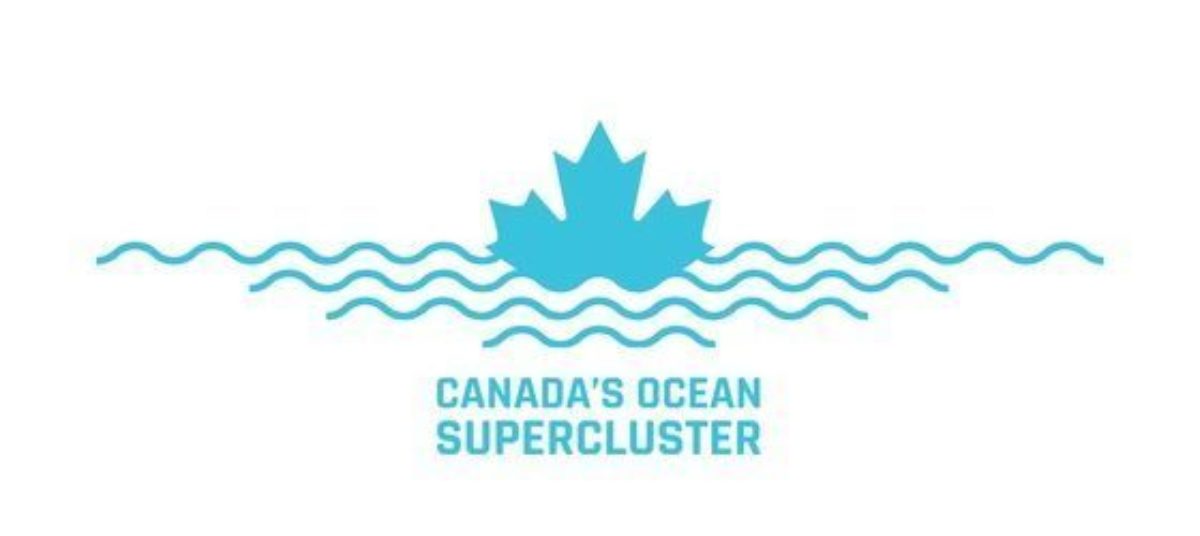 Supercluster logo 2020