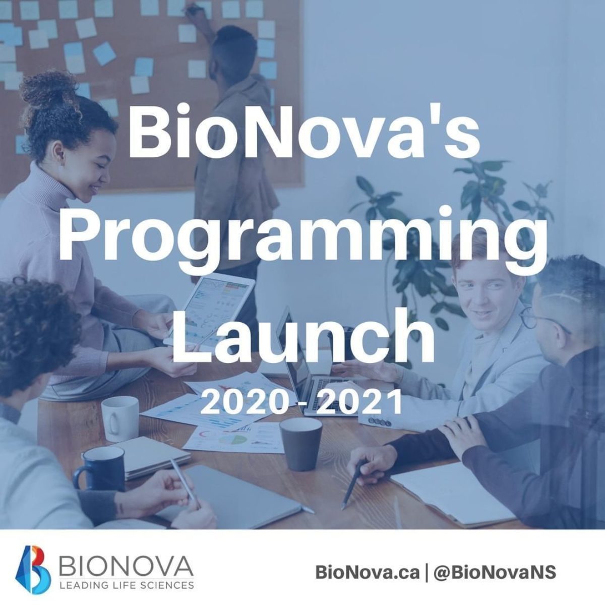 Bionova programming launch