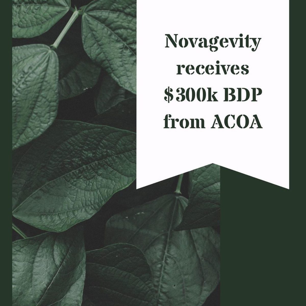 Novagevity receives 300 acoa