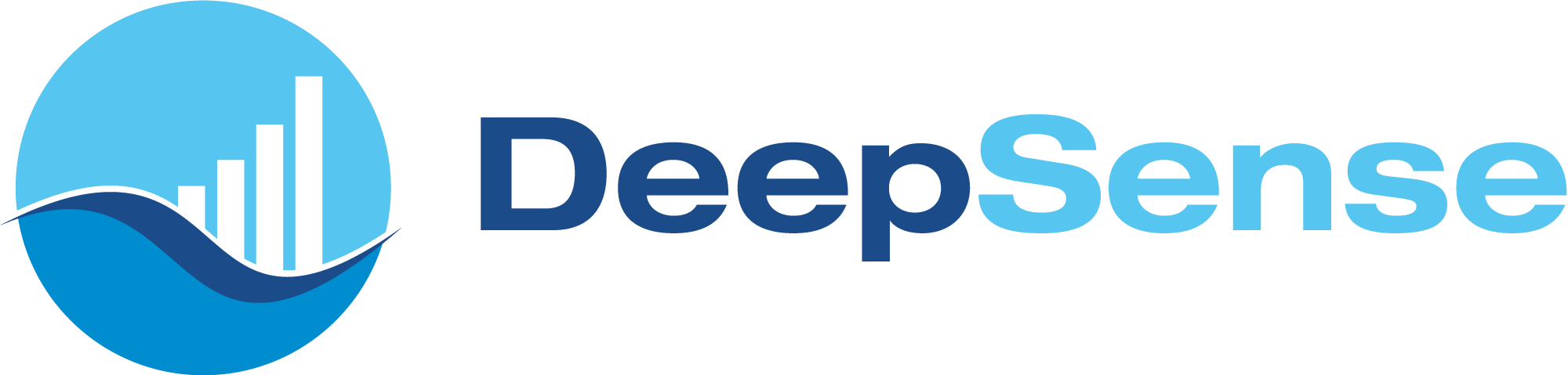DeepSense Logo